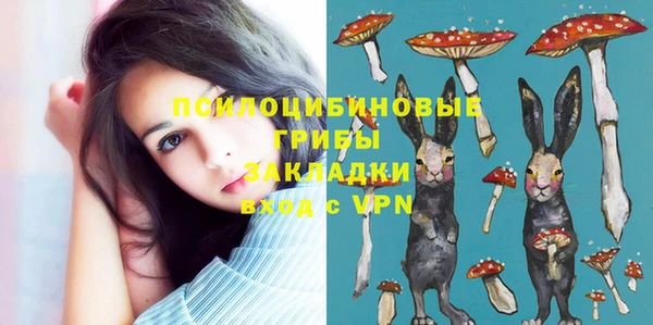героин Алексин
